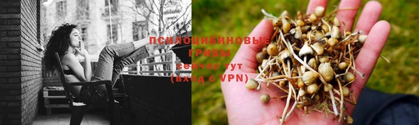 марки nbome Верея