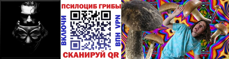 Псилоцибиновые грибы MAGIC MUSHROOMS  Луза 