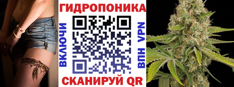 Шишки марихуана Amnesia  Луза 